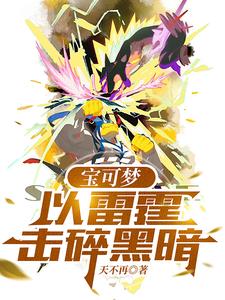 宝可梦:以雷霆击碎黑暗小说