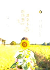 满天星空下的向日葵