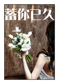许你以柔许擎苍盛柔
