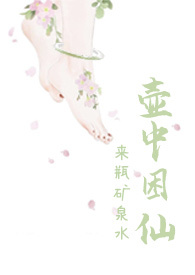 壶提提