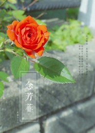 念芳是什么意思