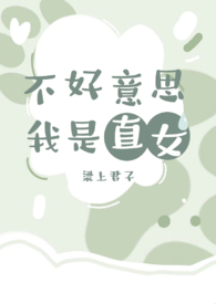 不好意思我是直女梁上君子